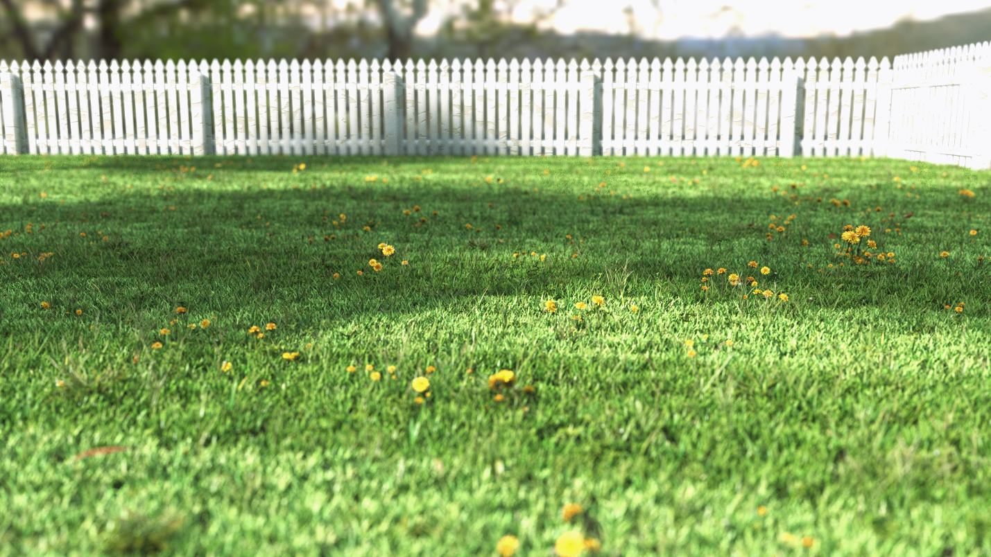 Simple House — Garden